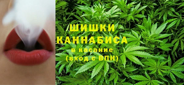 прущие грибы Навашино