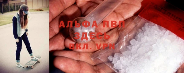 прущие грибы Навашино
