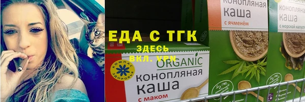 дживик Надым